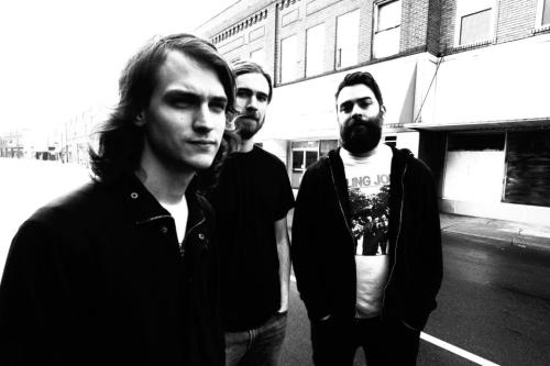 generationsofvipers1