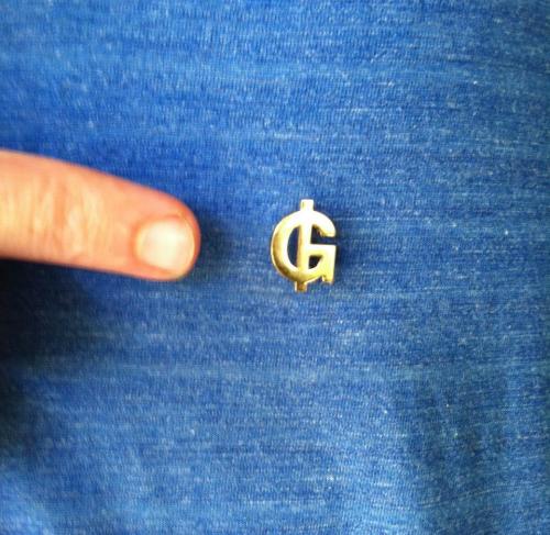 grails_pin