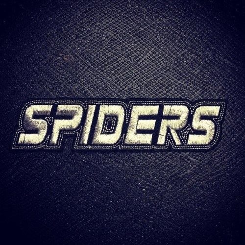spiders_logo
