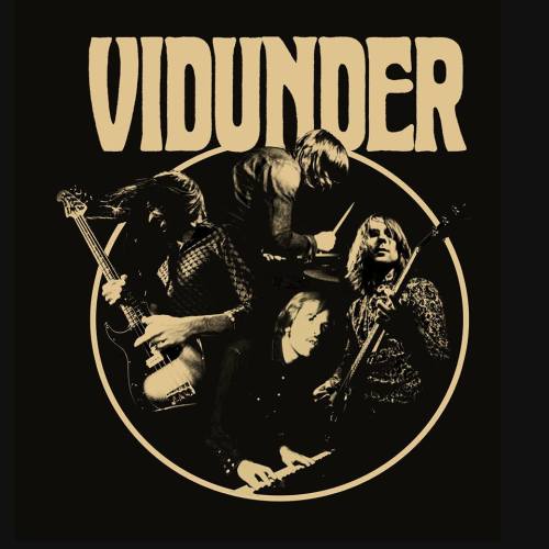 vidunder_logo